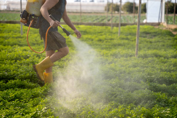 Best Residential Pest Control  in West Park, FL