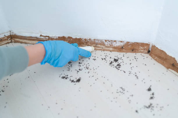 Best Emergency Pest Control  in West Park, FL