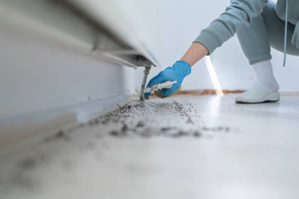 Best Affordable Pest Control Services  in West Park, FL